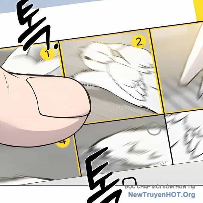 Chào Nhé, Griffin Mắt Tròn! - Chương 3 - ảnh 37