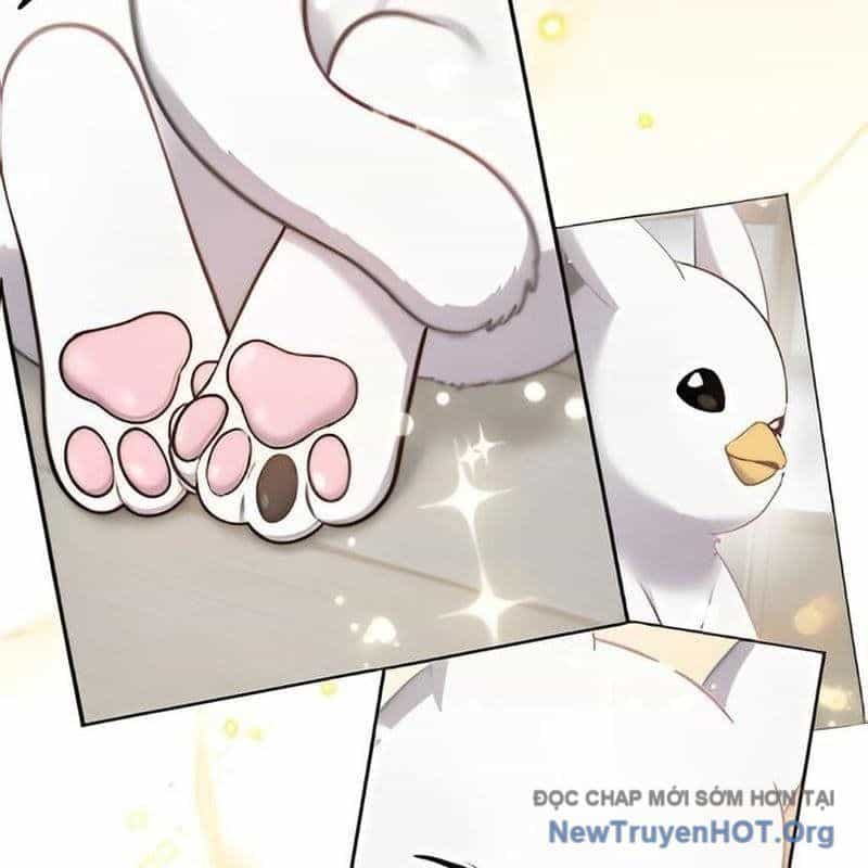 Chào Nhé, Griffin Mắt Tròn! - Chương 3 - ảnh 99
