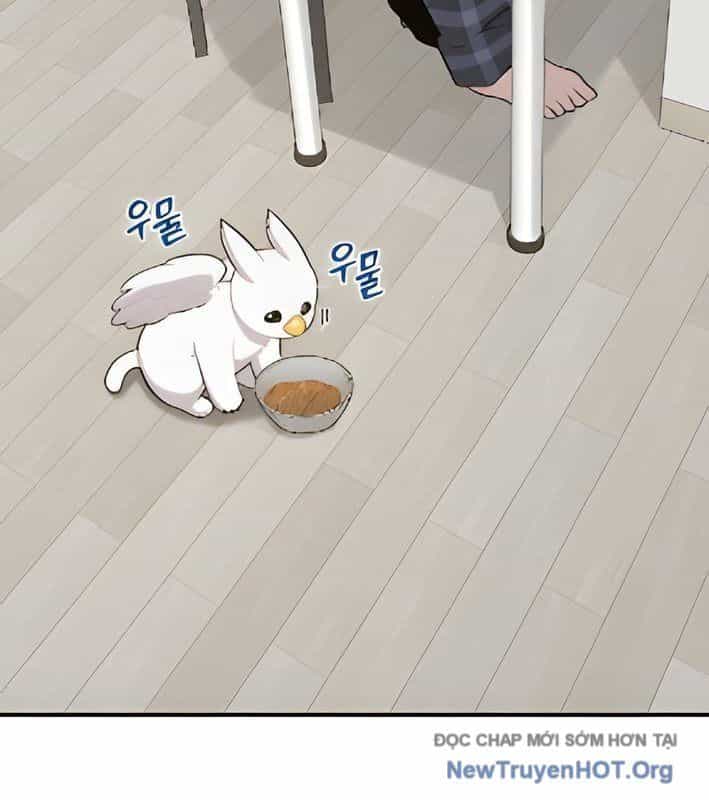 Chào Nhé, Griffin Mắt Tròn! - Chương 4 - ảnh 132
