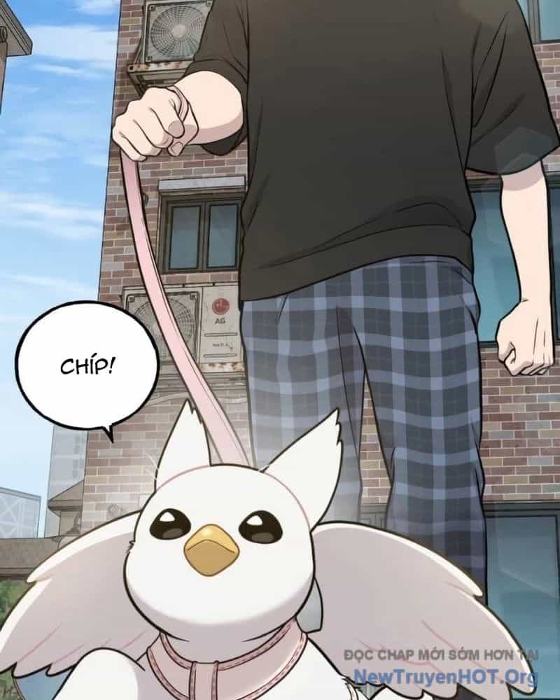 Chào Nhé, Griffin Mắt Tròn! - Chương 6 - ảnh 33