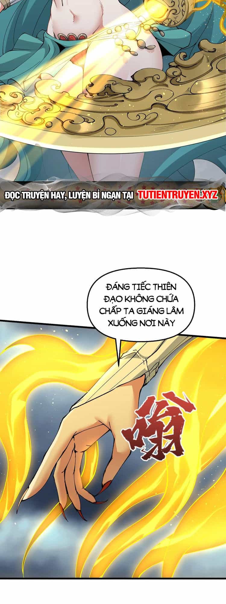 Chặt Củi 10 Năm, Tiên Tử Cầu Xin Ta Thu Nàng Làm Đồ Đệ - Chương 35 - ảnh 12