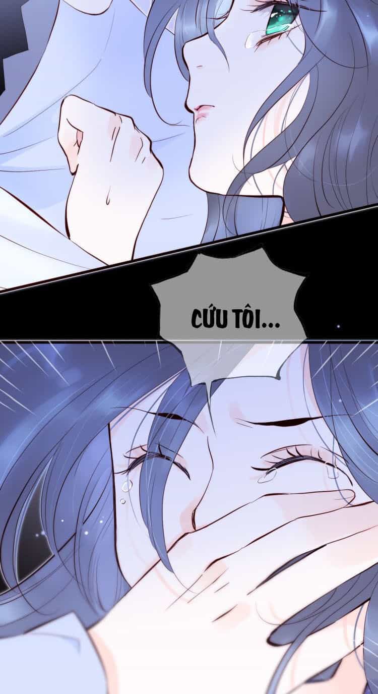 Chạy Trốn Cùng Con Nhím - Chương 1 - ảnh 43