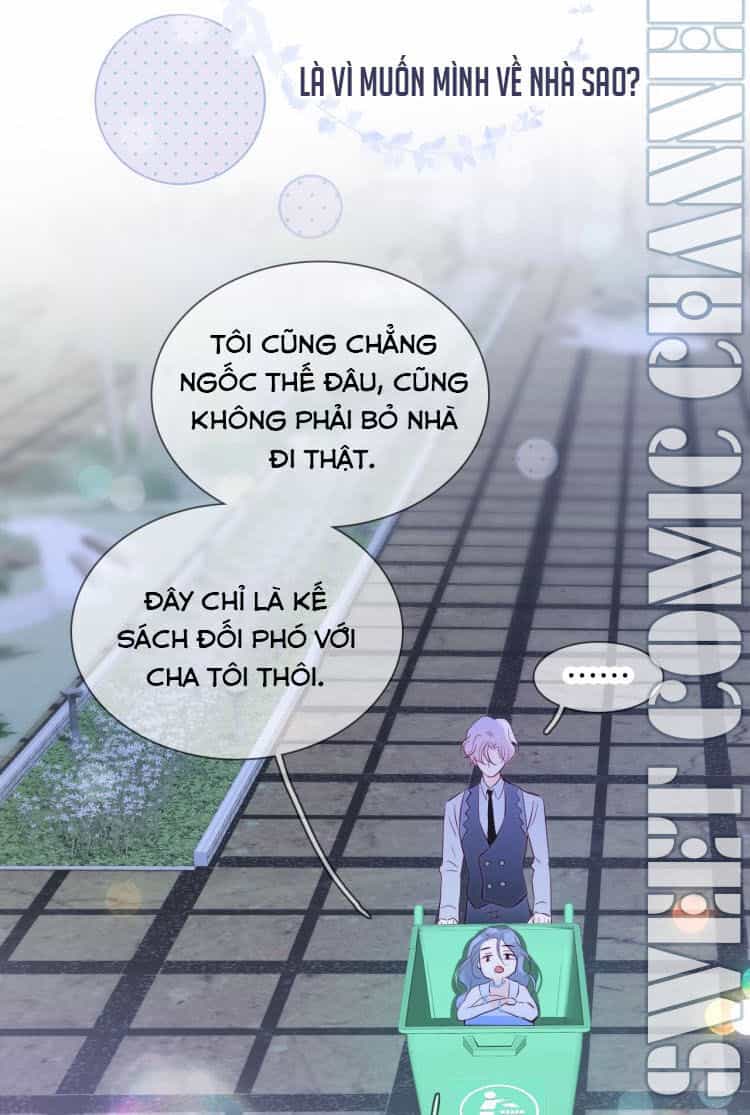 Chạy Trốn Cùng Con Nhím - Chương 1 - ảnh 49