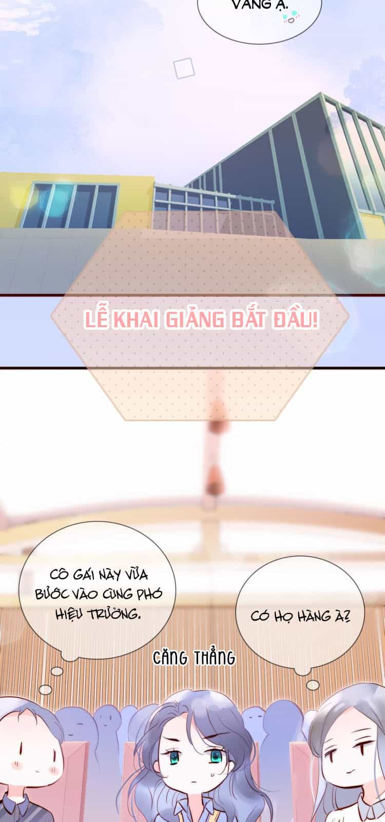 Chạy Trốn Cùng Con Nhím - Chương 1 - ảnh 77