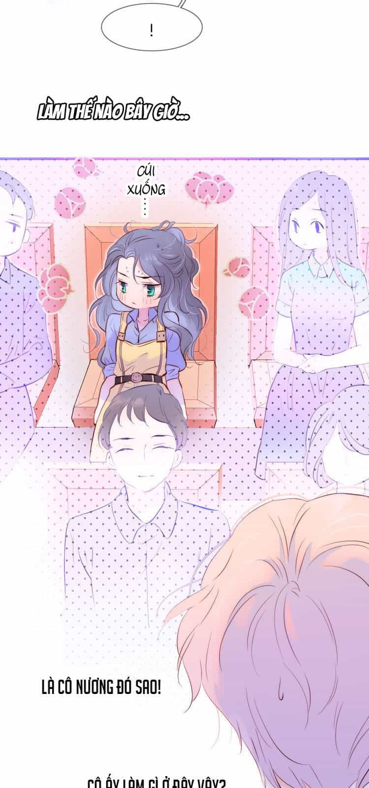 Chạy Trốn Cùng Con Nhím - Chương 1 - ảnh 84