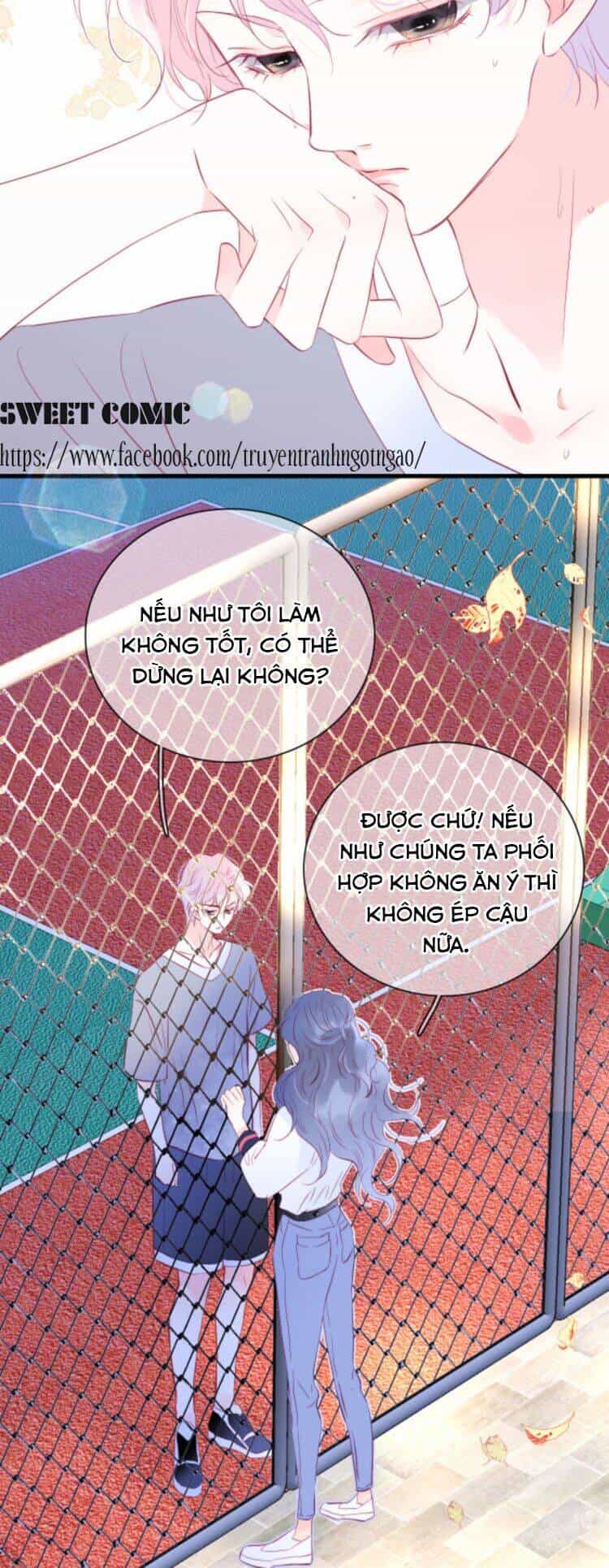 Chạy Trốn Cùng Con Nhím - Chương 15 - ảnh 26