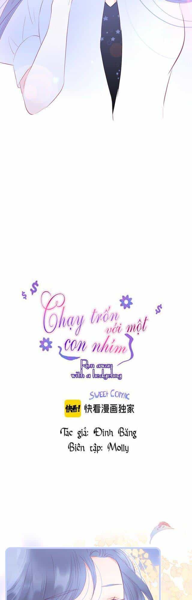 Chạy Trốn Cùng Con Nhím - Chương 19 - ảnh 3