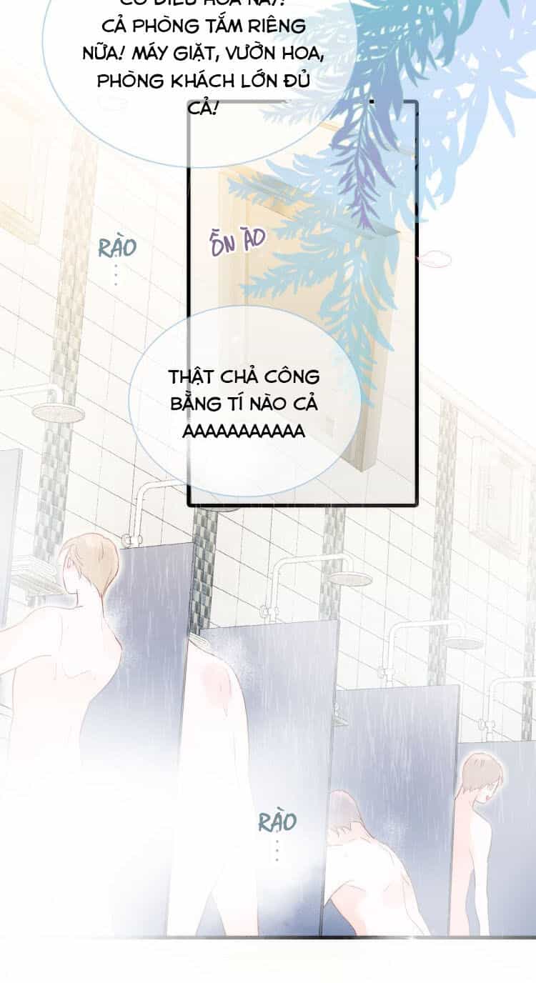 Chạy Trốn Cùng Con Nhím - Chương 2 - ảnh 37