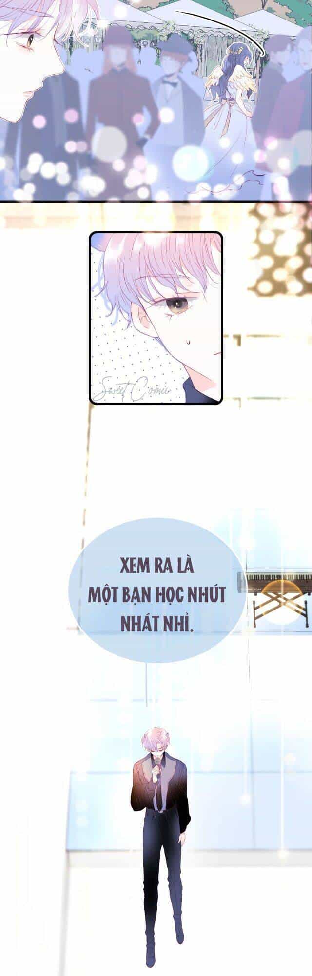 Chạy Trốn Cùng Con Nhím - Chương 22 - ảnh 11