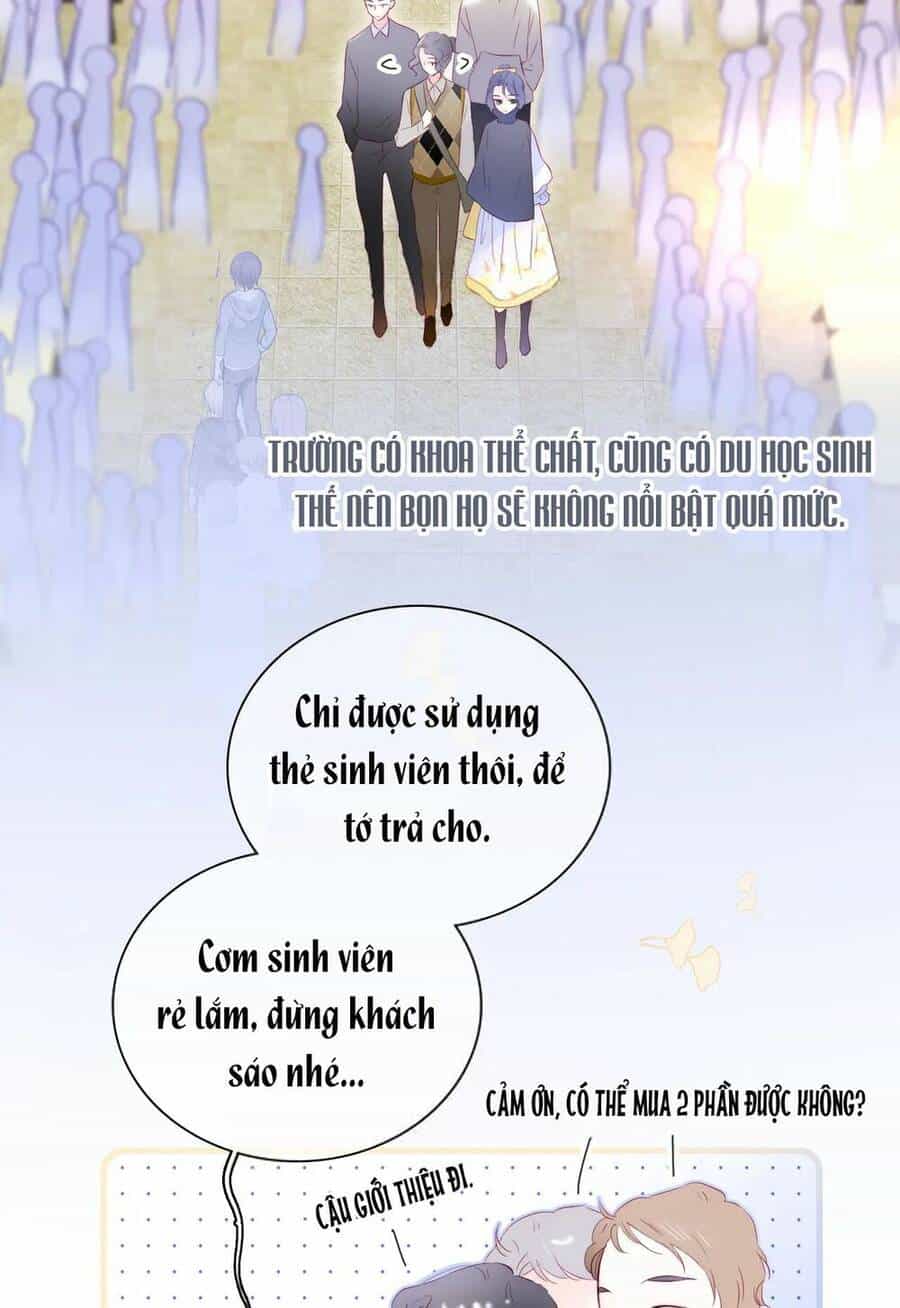 Chạy Trốn Cùng Con Nhím - Chương 43 - ảnh 8