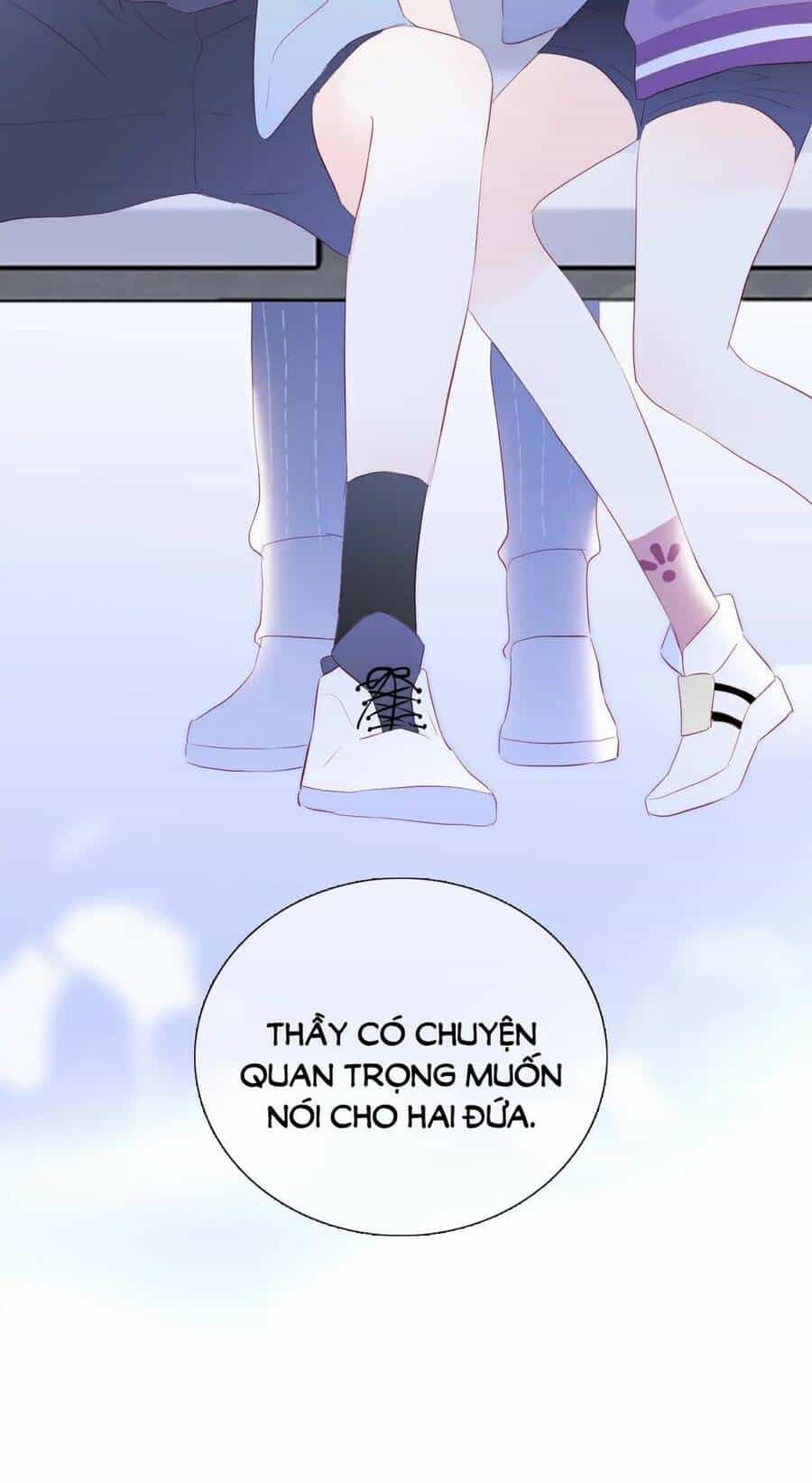 Chạy Trốn Cùng Con Nhím - Chương 64 - ảnh 44