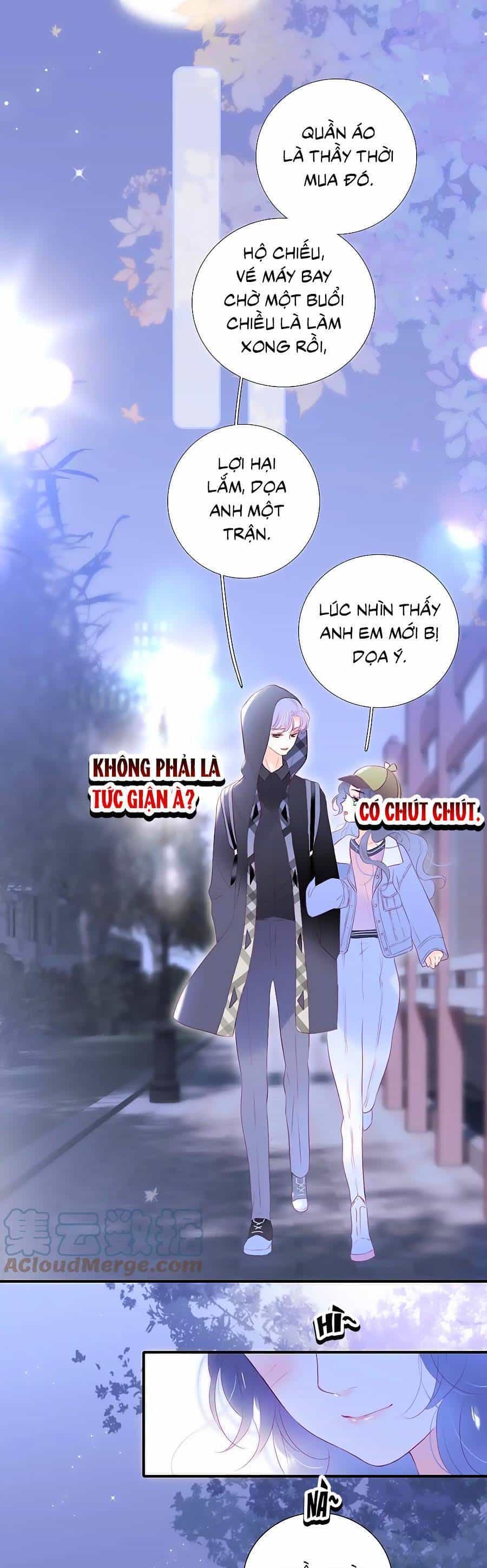Chạy Trốn Cùng Con Nhím - Chương 86 - ảnh 21