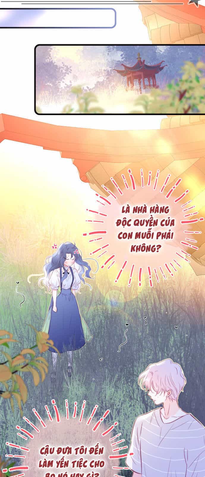 Chạy Trốn Cùng Con Nhím - Chương 9 - ảnh 39