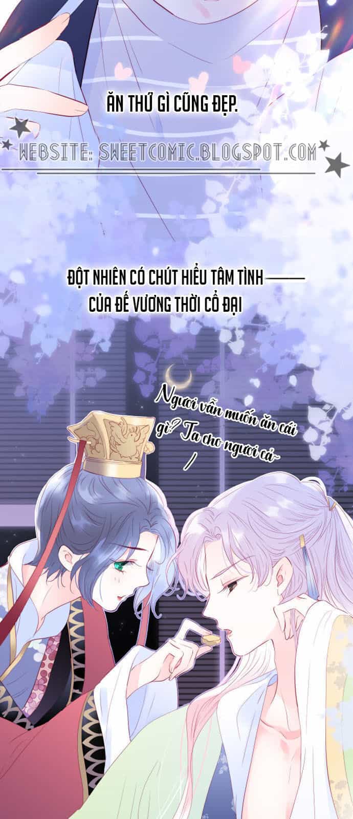 Chạy Trốn Cùng Con Nhím - Chương 9 - ảnh 9