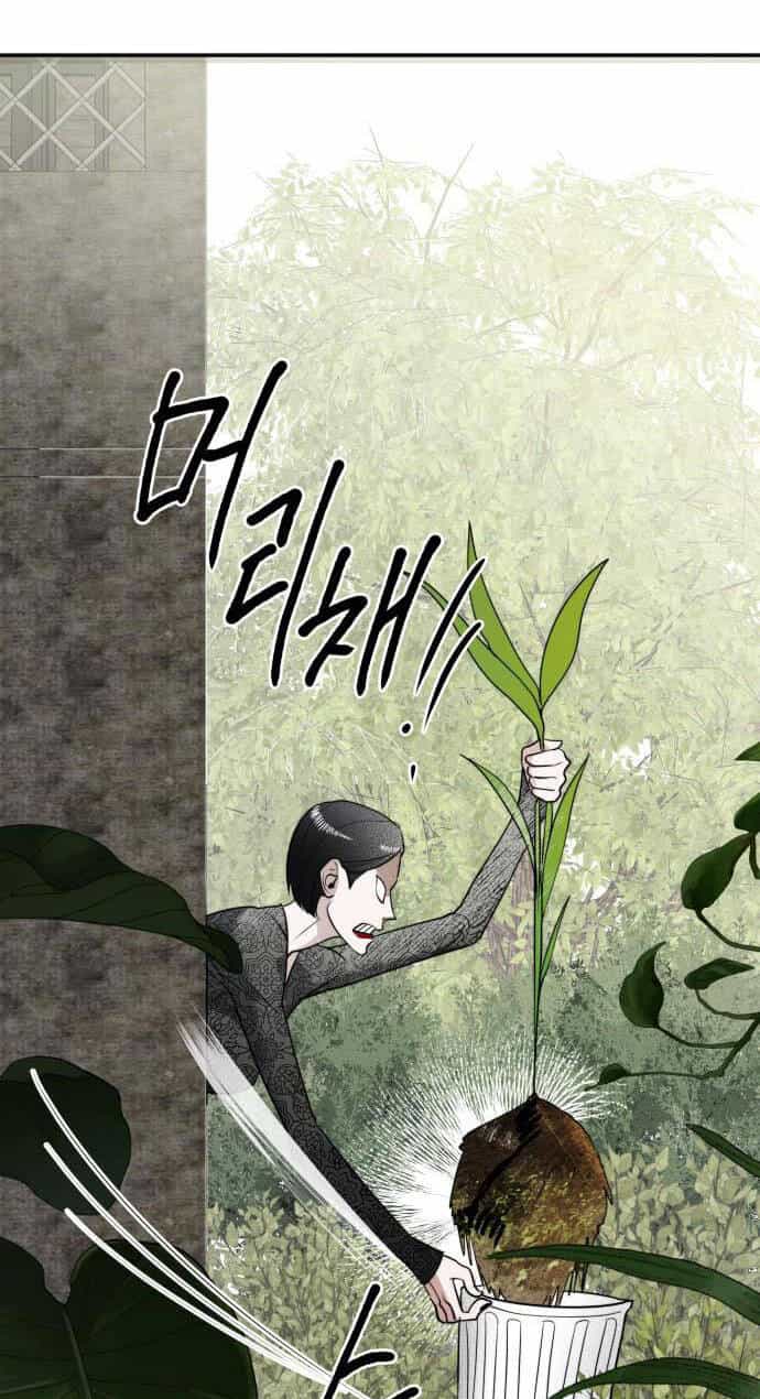 Chị Em Nhà Ki - Chương 10 - ảnh 66