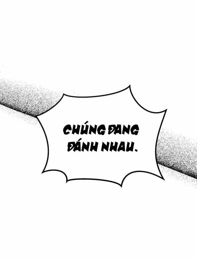 Chị Em Nhà Ki - Chương 12 - ảnh 49