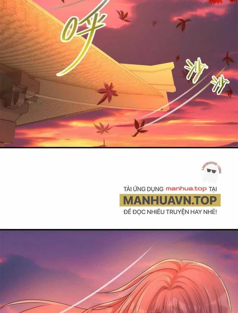 Chị Gái Tôi Là Đại Minh Tinh - Chương 213 - ảnh 23