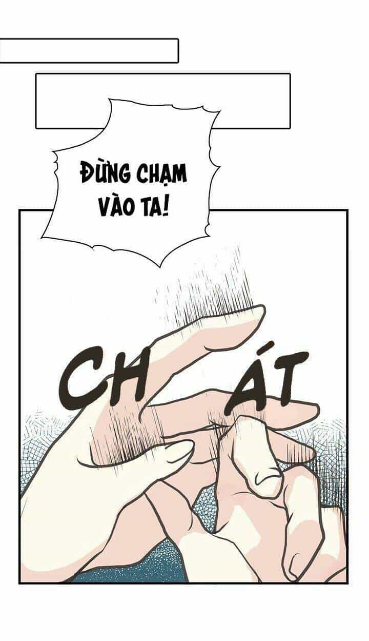 Chị Tôi Đã Nhặt Về Nhà Một Nam Chính Quyến Rũ - Chương 2 - ảnh 42
