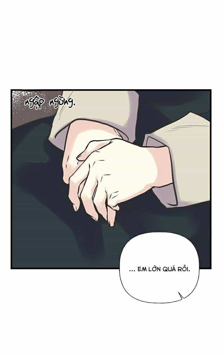 Chị Tôi Đã Nhặt Về Nhà Một Nam Chính Quyến Rũ - Chương 31 - ảnh 25