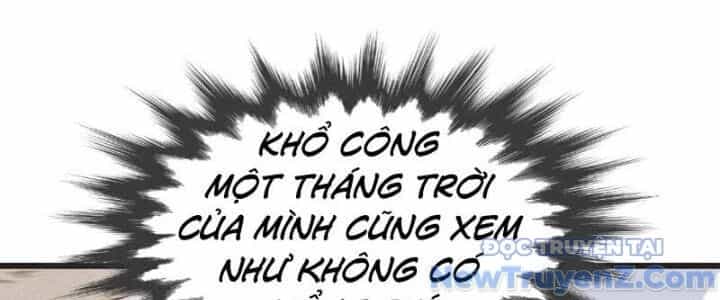 Chí Tôn Hoàn Mỹ - Chương 65 - ảnh 49