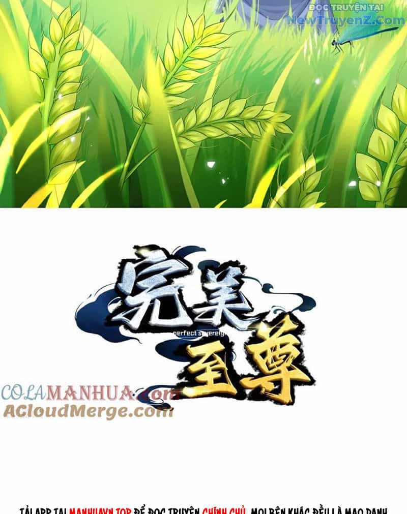 Chí Tôn Hoàn Mỹ - Chương 80 - ảnh 5