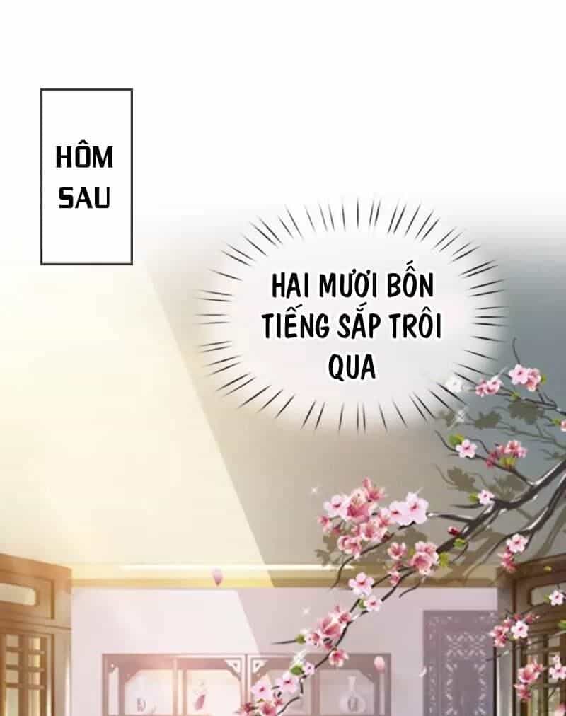 Chí Tôn Hồng Bao Hoàng Đế - Chương 11 - ảnh 22