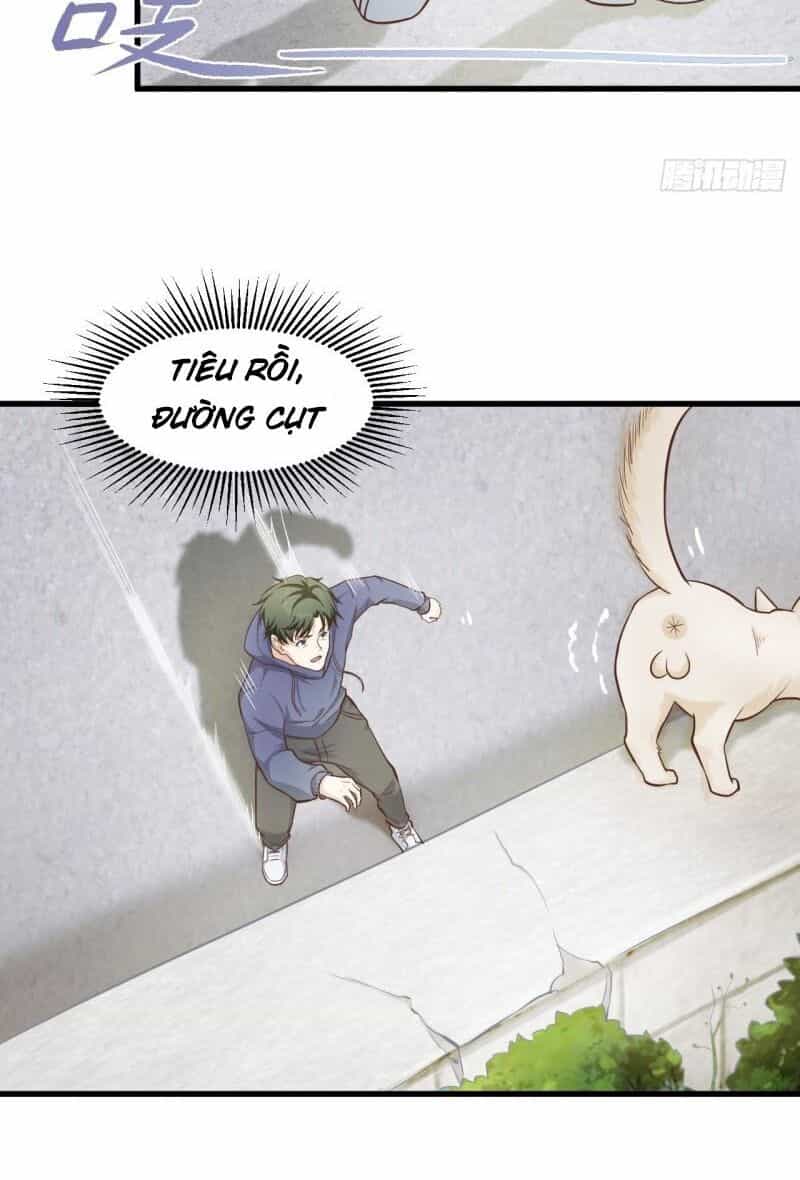 Chí Tôn Thần Nhãn - Chương 29 - ảnh 21