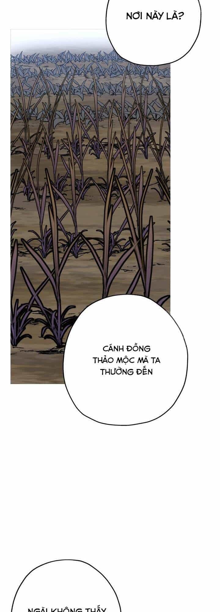 Chiến Binh Quật Cường - Chương 51 - ảnh 61
