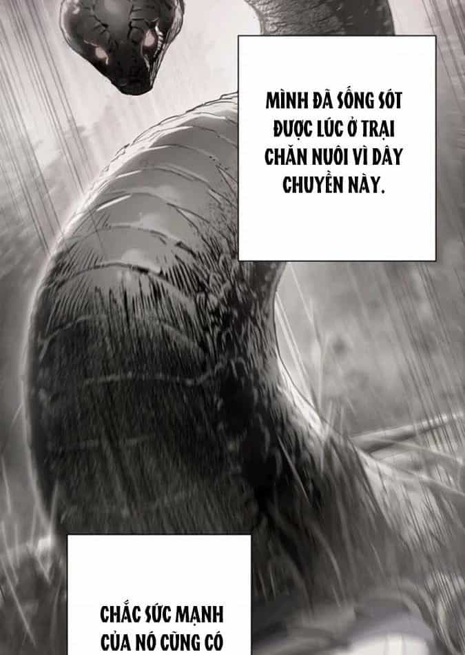 Chiến Binh Xương Trắng Thất Thủ - Chương 87 - ảnh 6