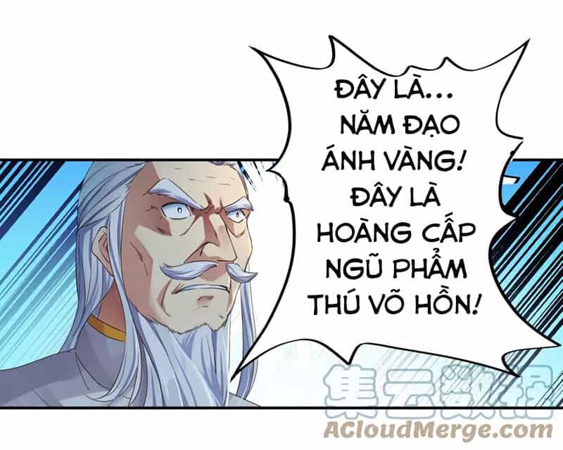 Chiến Hồn Tuyệt Thế - Chương 1 - ảnh 9