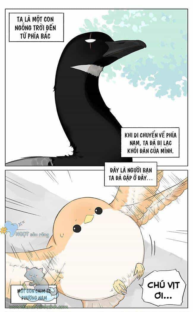 Chim Sẻ Gọi Ngỗng Trời - Chương 5 - ảnh 2