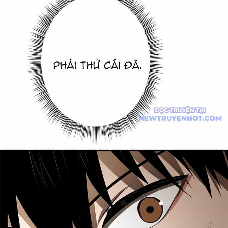 Chinh Phục Hầm Ngục Bằng Sao Chép Và Dán! - Chương 17 - ảnh 270