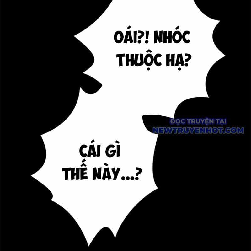 Chinh Phục Hầm Ngục Bằng Sao Chép Và Dán! - Chương 18 - ảnh 33