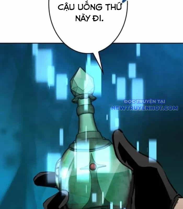 Chinh Phục Hầm Ngục Bằng Sao Chép Và Dán! - Chương 32 - ảnh 13