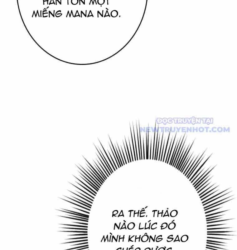 Chinh Phục Hầm Ngục Bằng Sao Chép Và Dán! - Chương 38 - ảnh 17