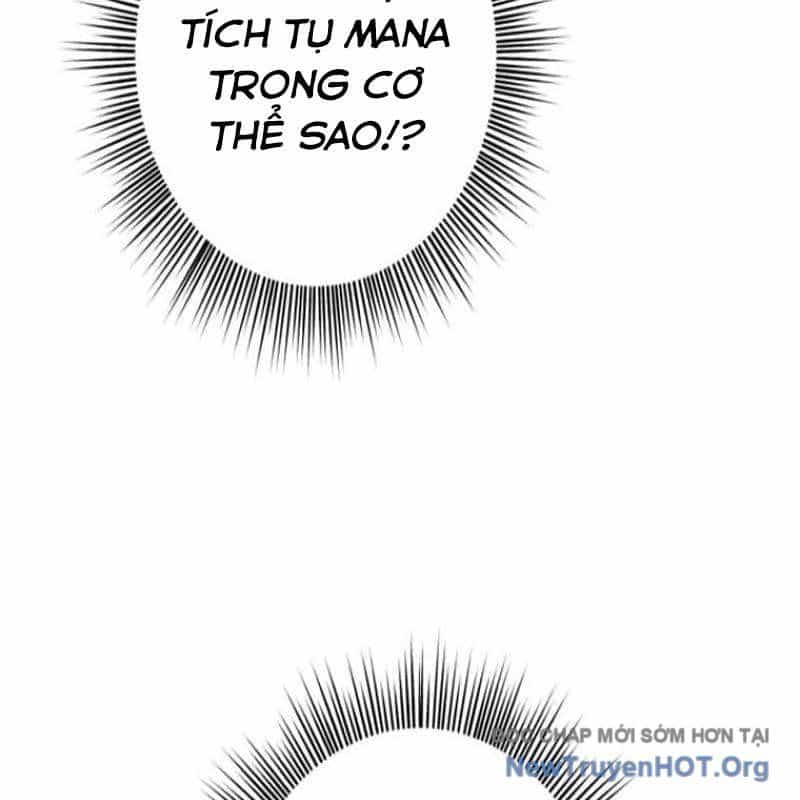 Chinh Phục Hầm Ngục Bằng Sao Chép Và Dán! - Chương 50 - ảnh 54