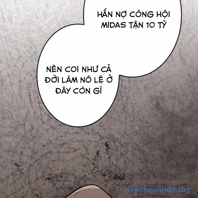 Chinh Phục Hầm Ngục Bằng Sao Chép Và Dán! - Chương 51 - ảnh 200