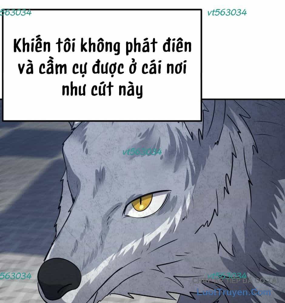 Chớ Bước Vào Nhà Hoang - Chương 51 - ảnh 73