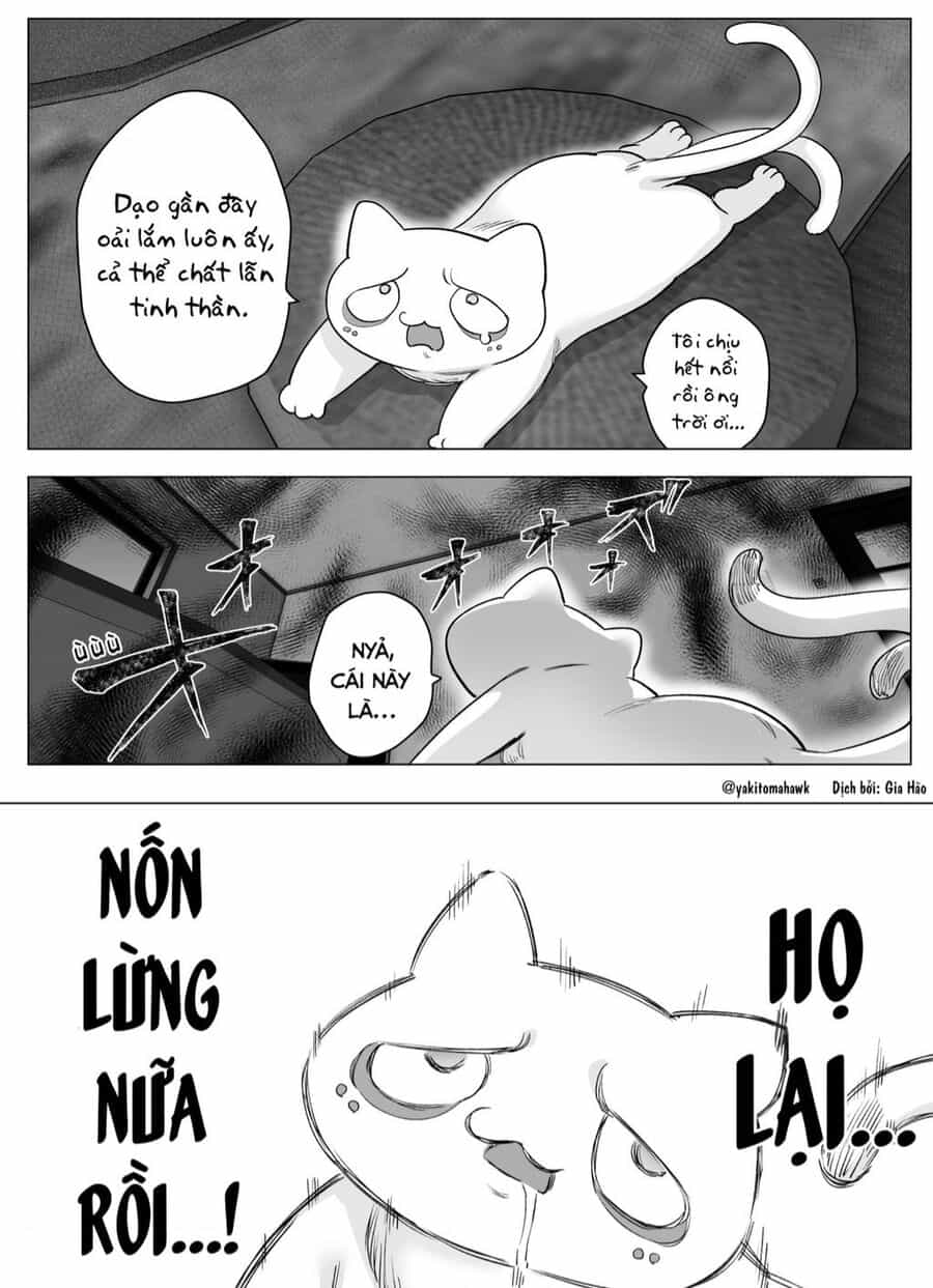 Cho Dù Cổ Không Ăn Lại Nữ Chính, Nhưng Bakeneko-Chan Vẫn Sẽ Cố Gắng - Chuong 10 - ảnh 1