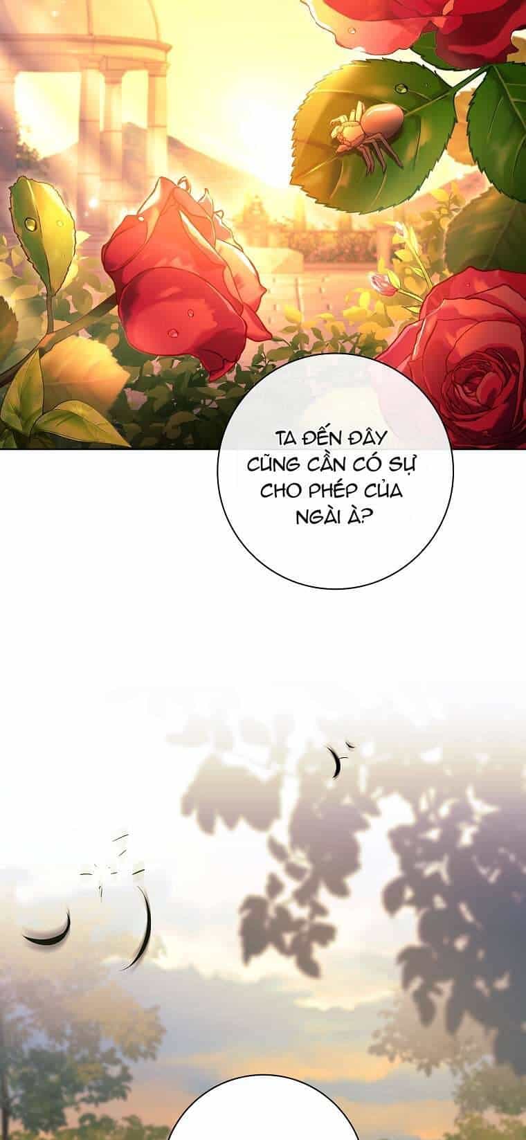 Chồng Ơi, Tại Sao Chúng Ta Không Thể Ly Hôn? - Chương 22 - ảnh 59