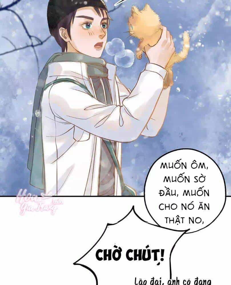 Chồng Trước 18 Tuổi - Chương 12 - ảnh 16