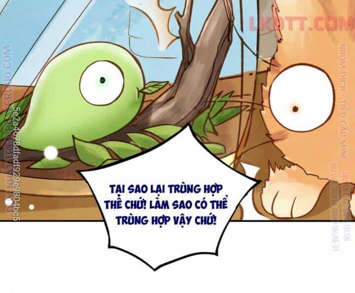 Chồng Trước 18 Tuổi - Chương 33 - ảnh 73