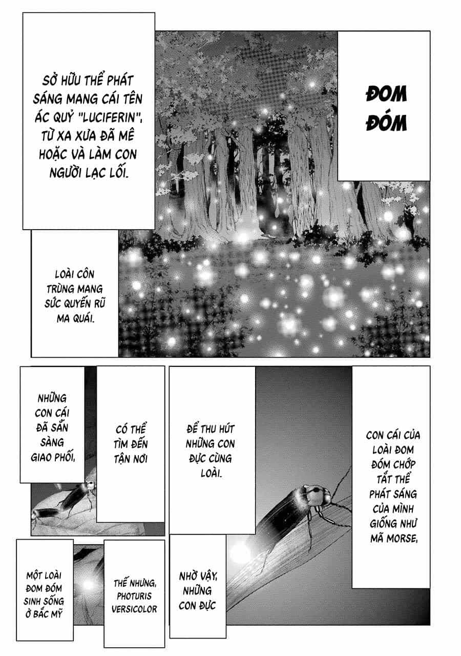 Choubu No Shinobi - Chương 11 - ảnh 14
