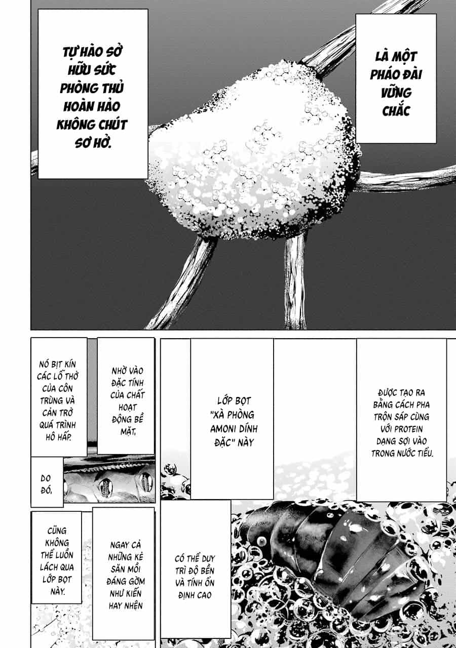 Choubu No Shinobi - Chương 2 - ảnh 21