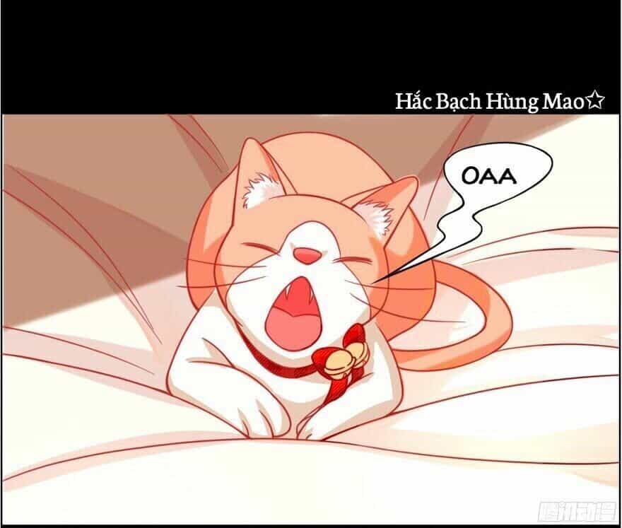 Chủ Nhân Là Ảnh Đế - Chương 1.5 - ảnh 11