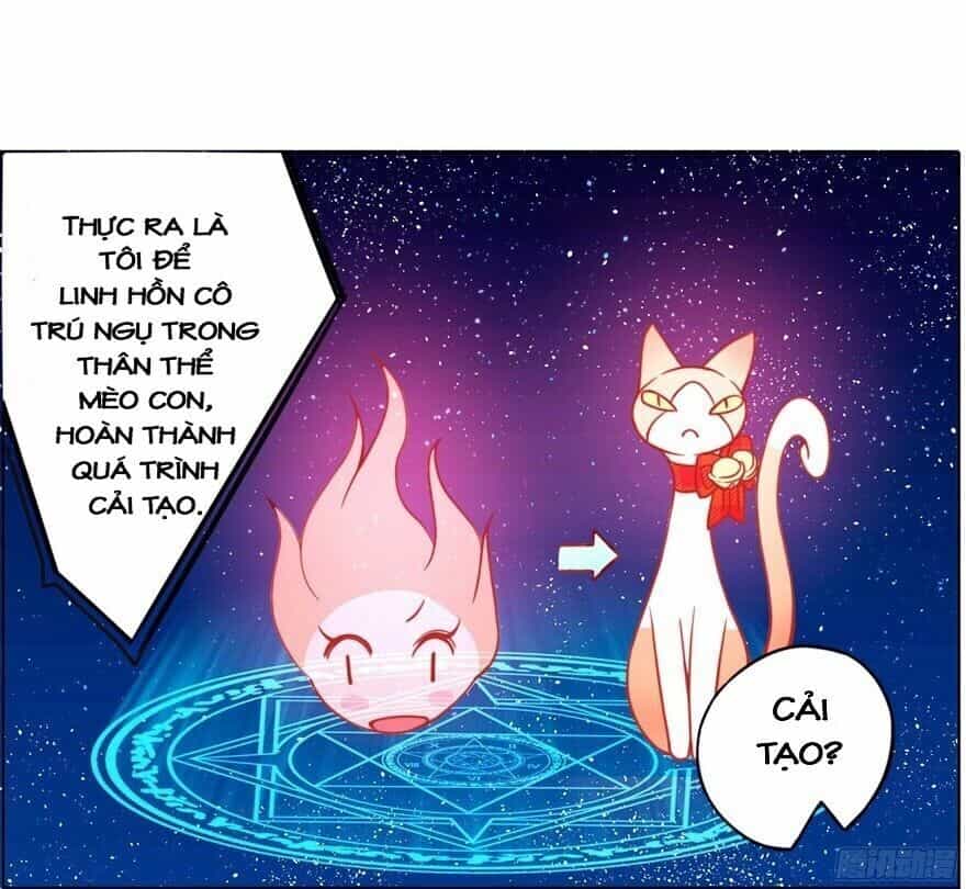 Chủ Nhân Là Ảnh Đế - Chương 1.5 - ảnh 19
