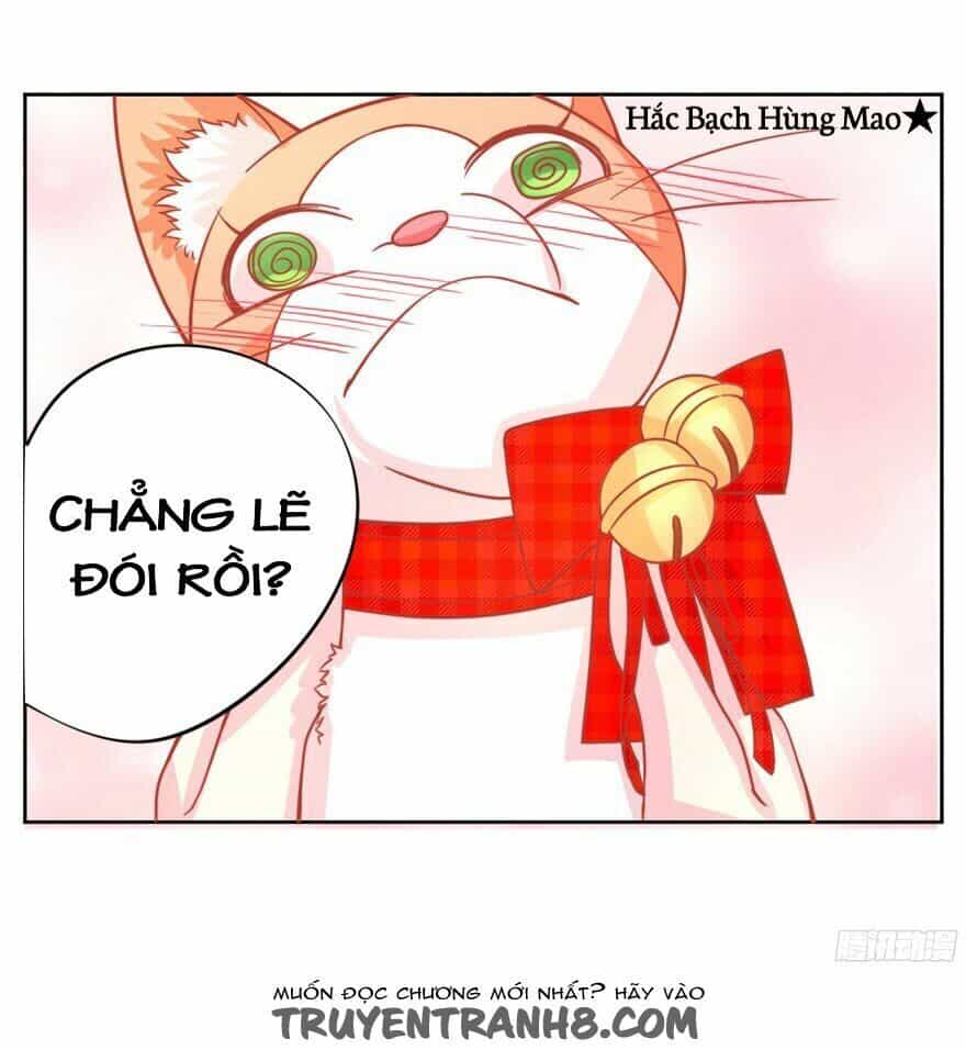 Chủ Nhân Là Ảnh Đế - Chương 1.6 - ảnh 6