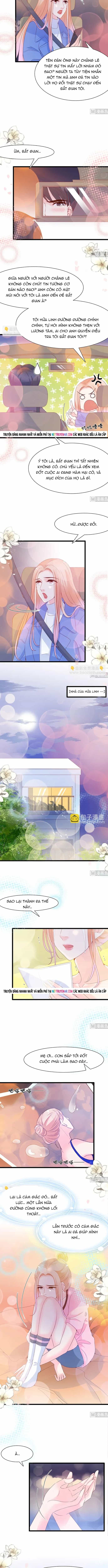 Chu Tiên Sinh, Ép Cưới Phạm Pháp Đó - Chương 105 - ảnh 3