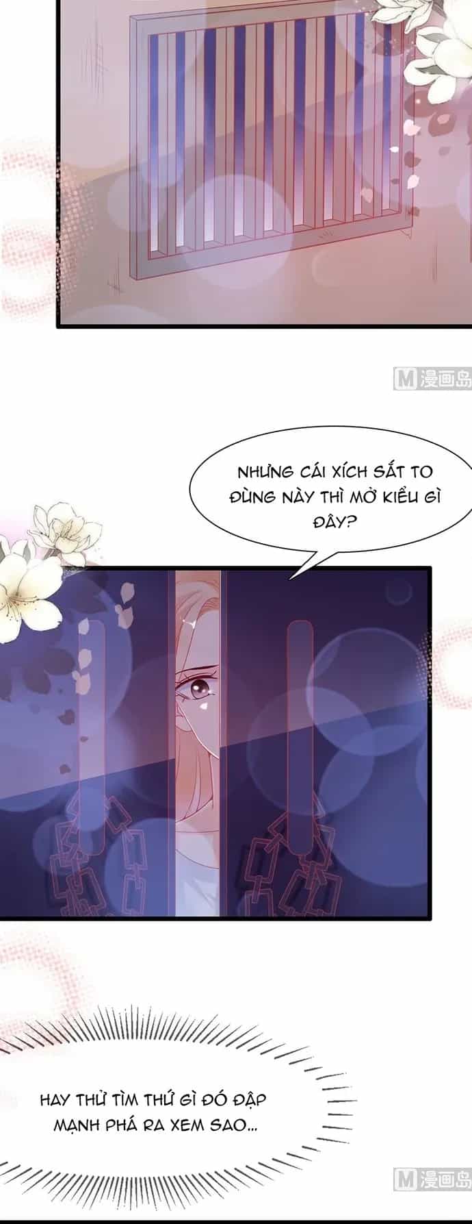 Chu Tiên Sinh, Ép Cưới Phạm Pháp Đó - Chương 161 - ảnh 2