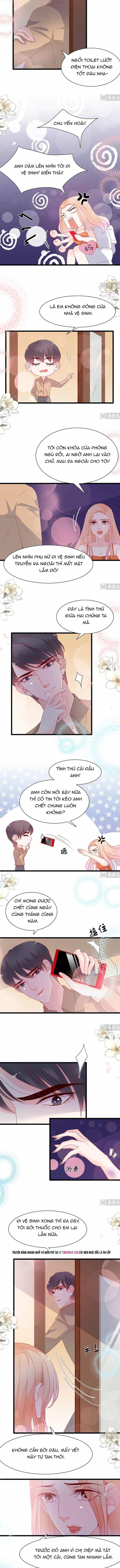 Chu Tiên Sinh, Ép Cưới Phạm Pháp Đó - Chương 167 - ảnh 3